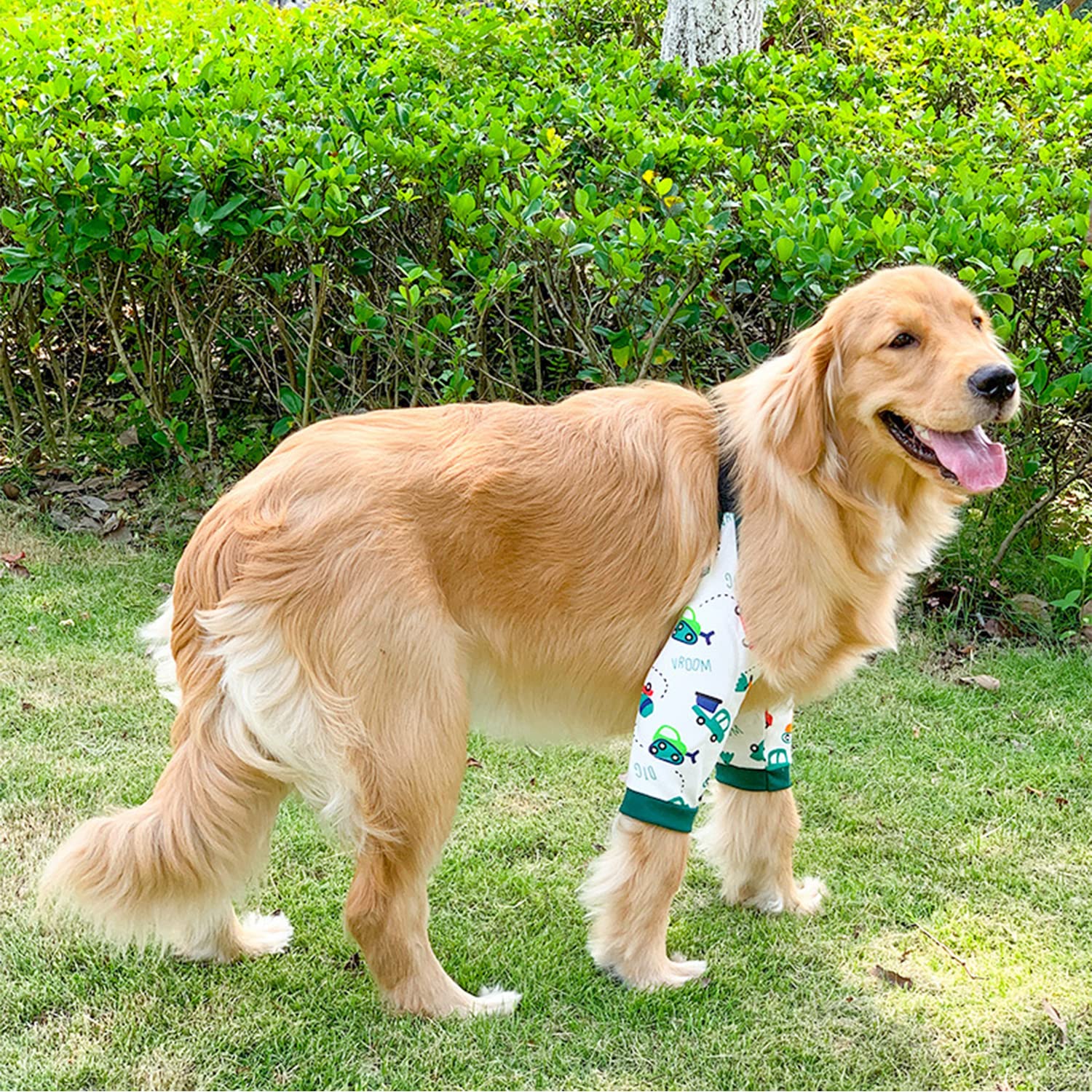 Blue Dream Island Dog Front Leg Braces Recovery Sleeve, Pet Knee Brace Wounds Protector for Medium Large Dog_L(Car) - Image 3