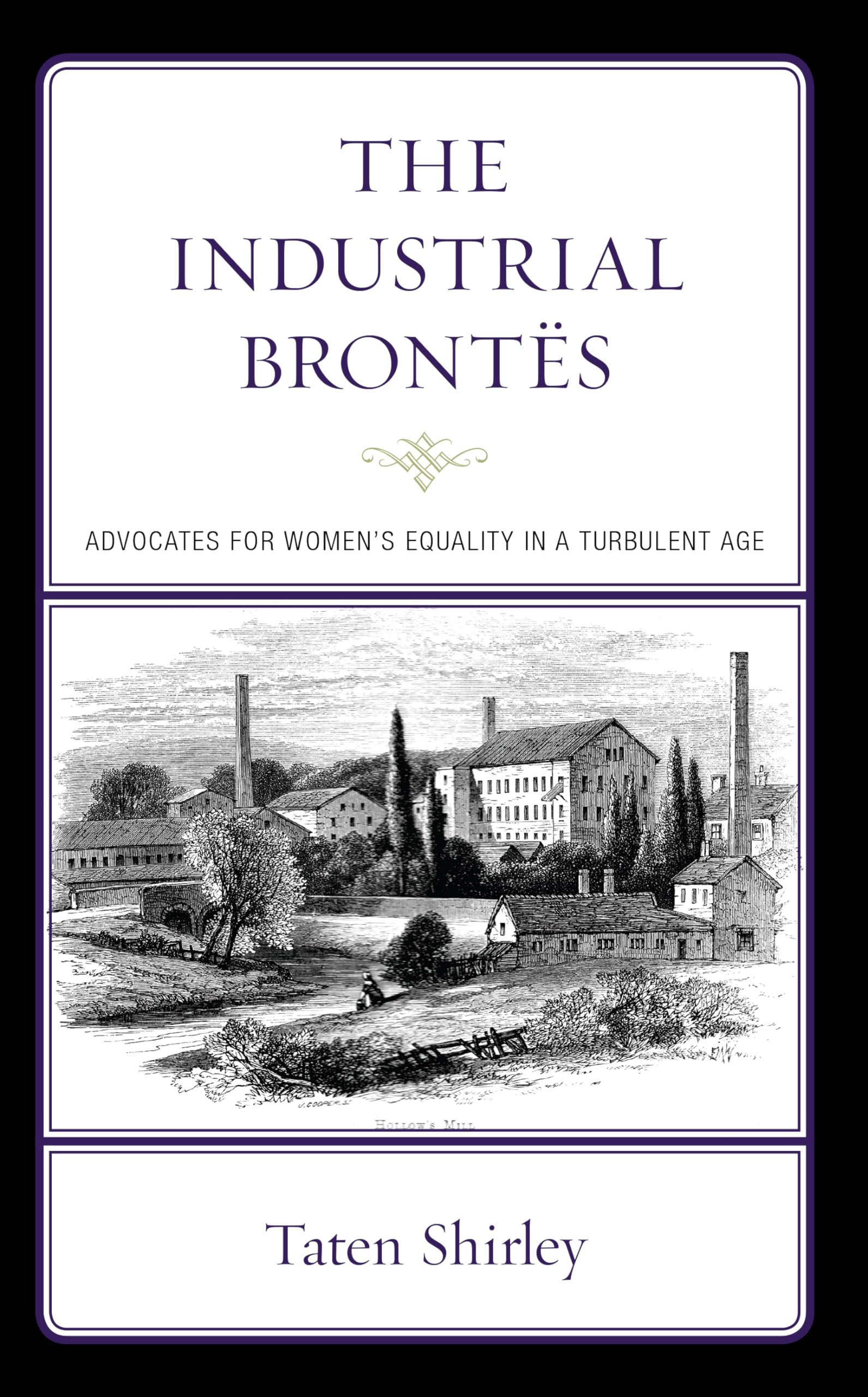 Amazon.com: The Industrial Brontës: Advocates for Women's Equality