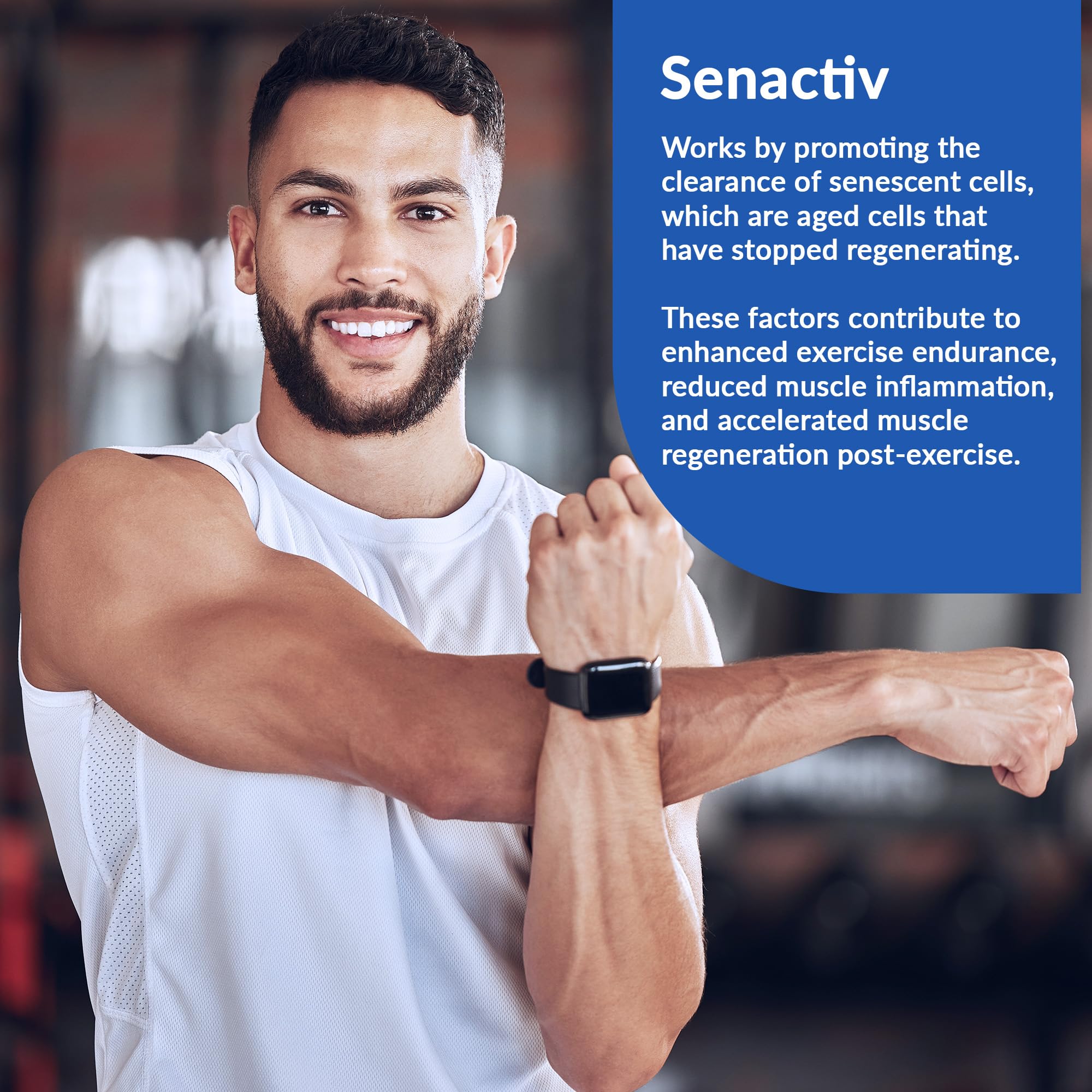 (inv) Granite Nutrition Recovery - Premium Intra-Workout Drink with EAAs, Cluster Dextrin, Sensoril & Senactiv for Athletic Performance and Lean Muscle Gains - Rainbow Candy Flavor (20 Servings)