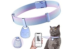Ultra-Secure Tracking Cat Collar with Name Tag and QR Code for Lost Pet Recovery