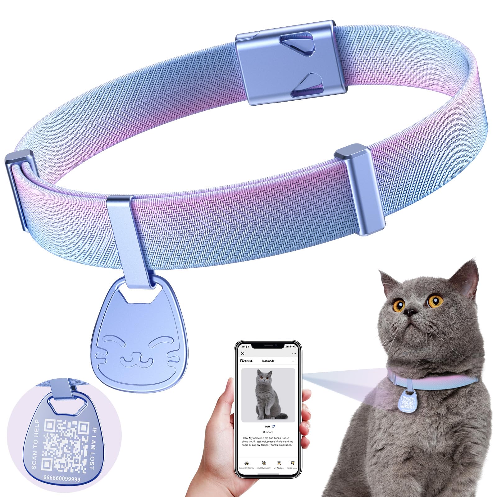 Pet Supplies : Cat Collar with Name Tag Breakaway: Kitten