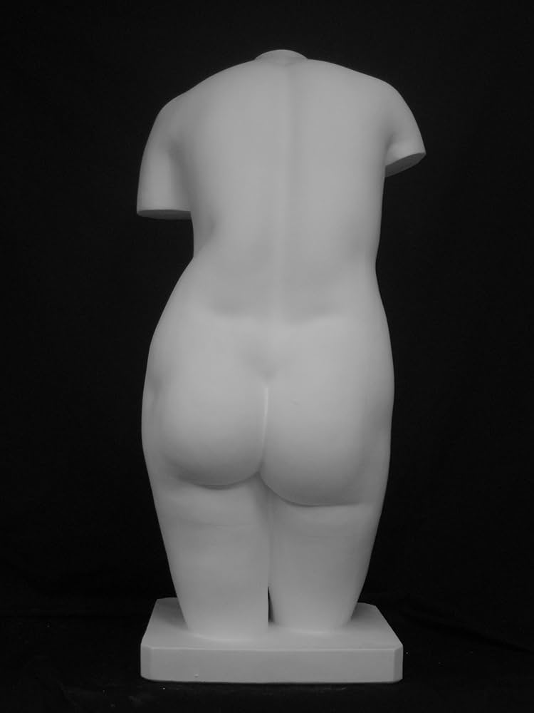 【希少品】石膏像 裸婦像 デッサン用トルソー オブジェ 希少品】石膏像 裸婦像 デッサン用トルソー オブジェ - メルカリ