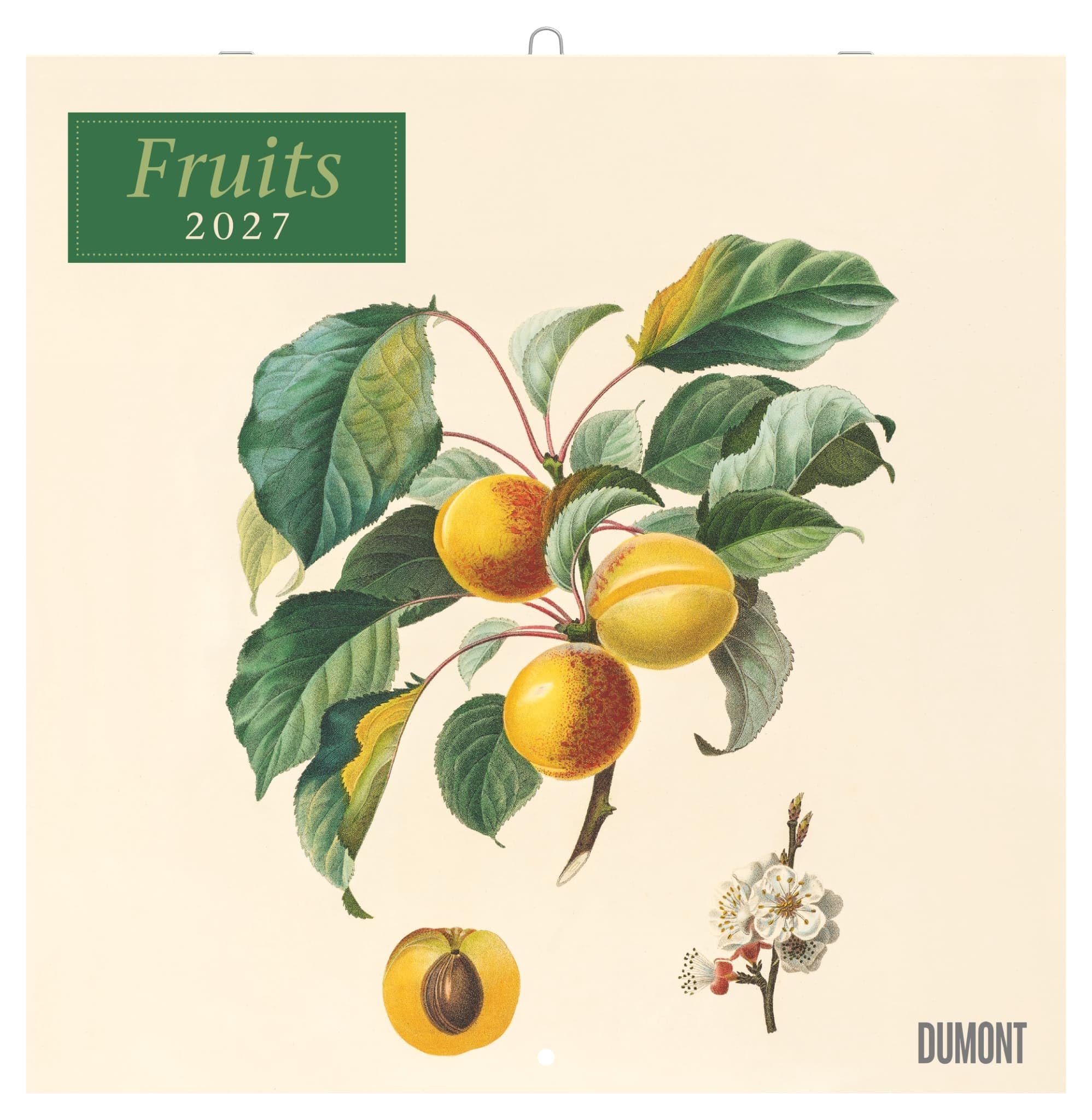 Fruits 2027: Wandkalender 30x30 cm (30x60 cm geöffnet) mit Notizkalendarium und 12 historischen Obst-Illustrationen von Pierre Antoine Poiteau