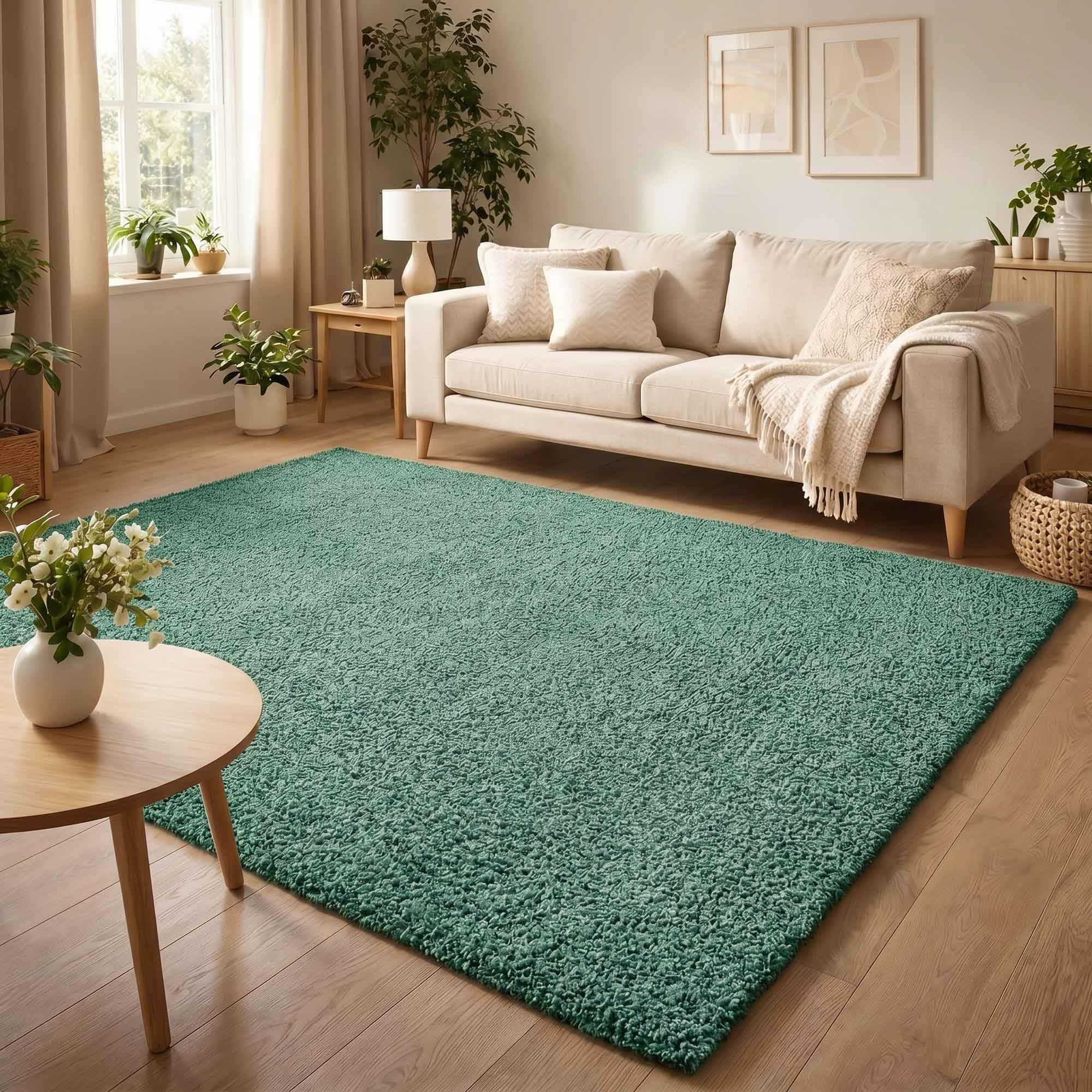 Ainsley Plain Soft Shaggy Modern Living Room Area Rug, Emerald, 60x110cm