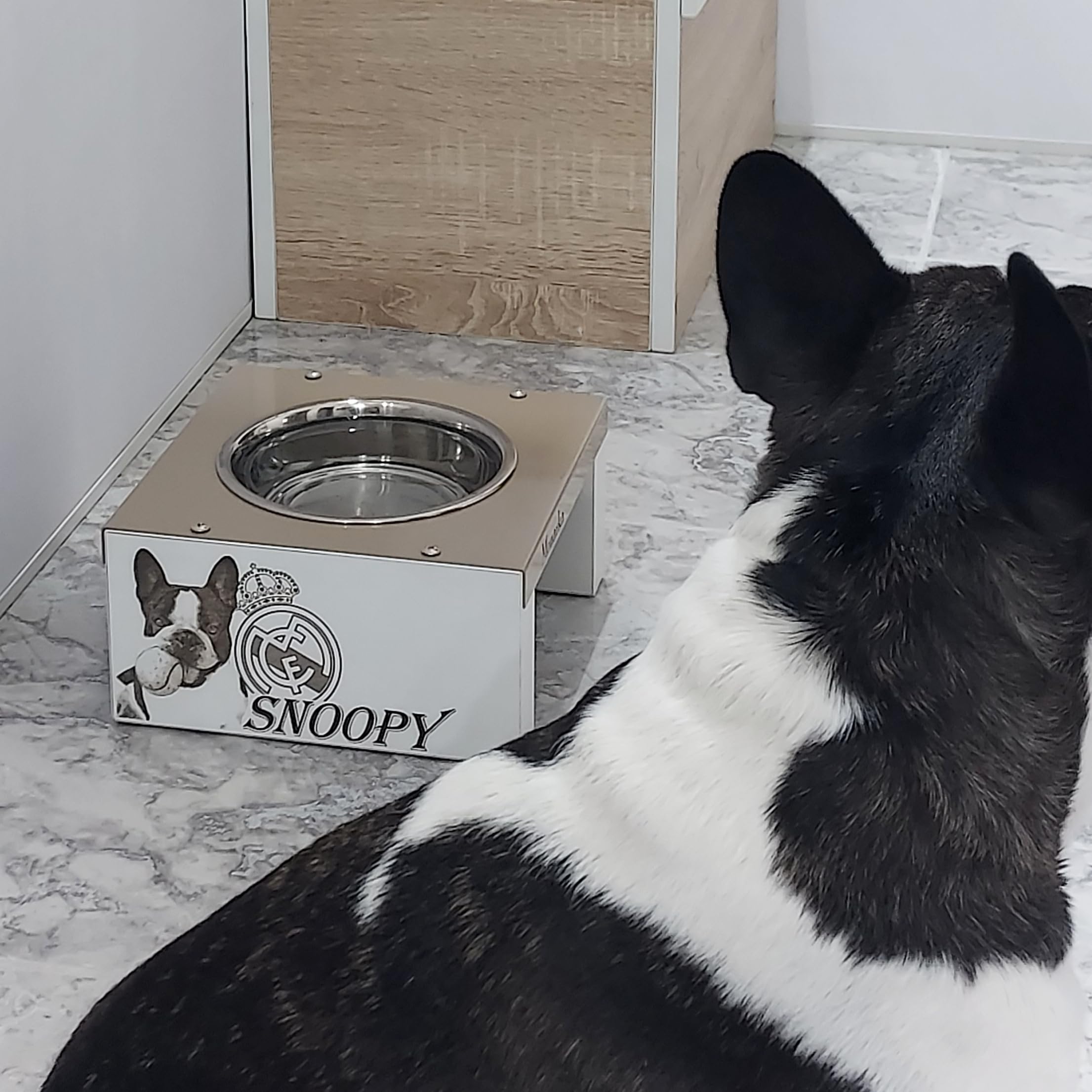 Comedero Elevado para Perros y Gatos, en Madera y Metal, Personalizado con Foto Real, Cuencos de 16 cm diámetro. Comedero de 1, 2, y 3 Cuencos. (2 Cuenco/10 cm Alto)