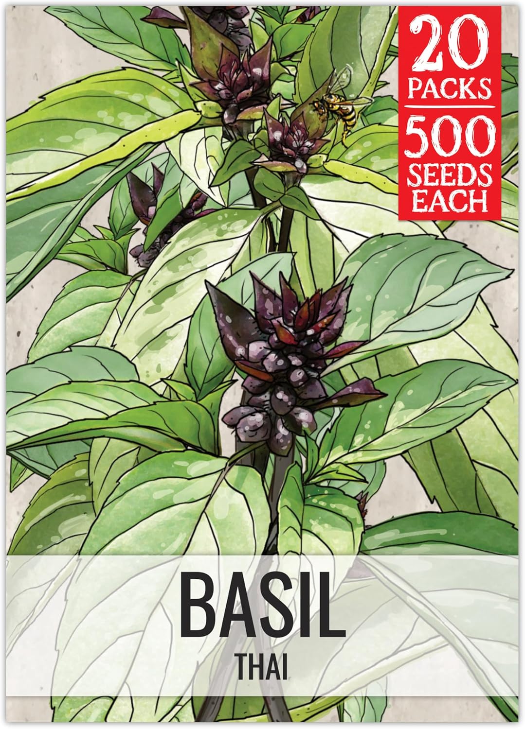 Seed Needs Basil Seeds for Planting Thai Basil Herbs - Non-GMO Heirloom & Untreated Herb Seed to Grow a Fresh Indoor or Outdoor Home Grown Culinary Garden (20 Packs)