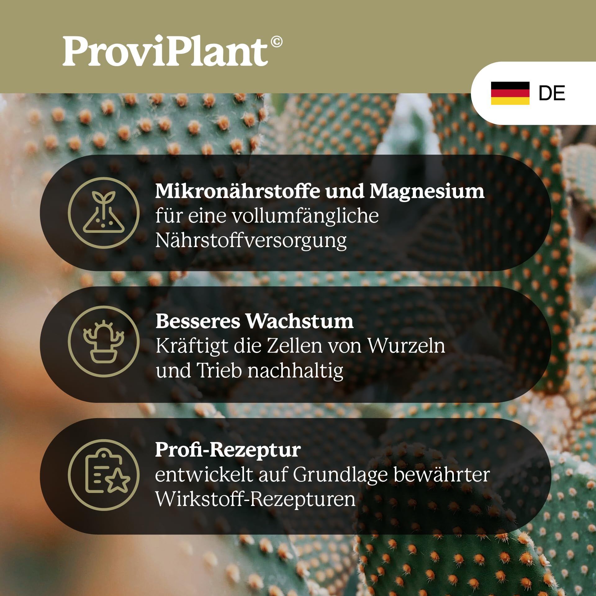Engrais liquide pour cactus - Pour cactus, plantes succulentes et plantes séchées - 1 litre de concentré pour jusqu'à 200 litres d'eau d'arrosage - Convient pour l'intérieur et l'extérieur