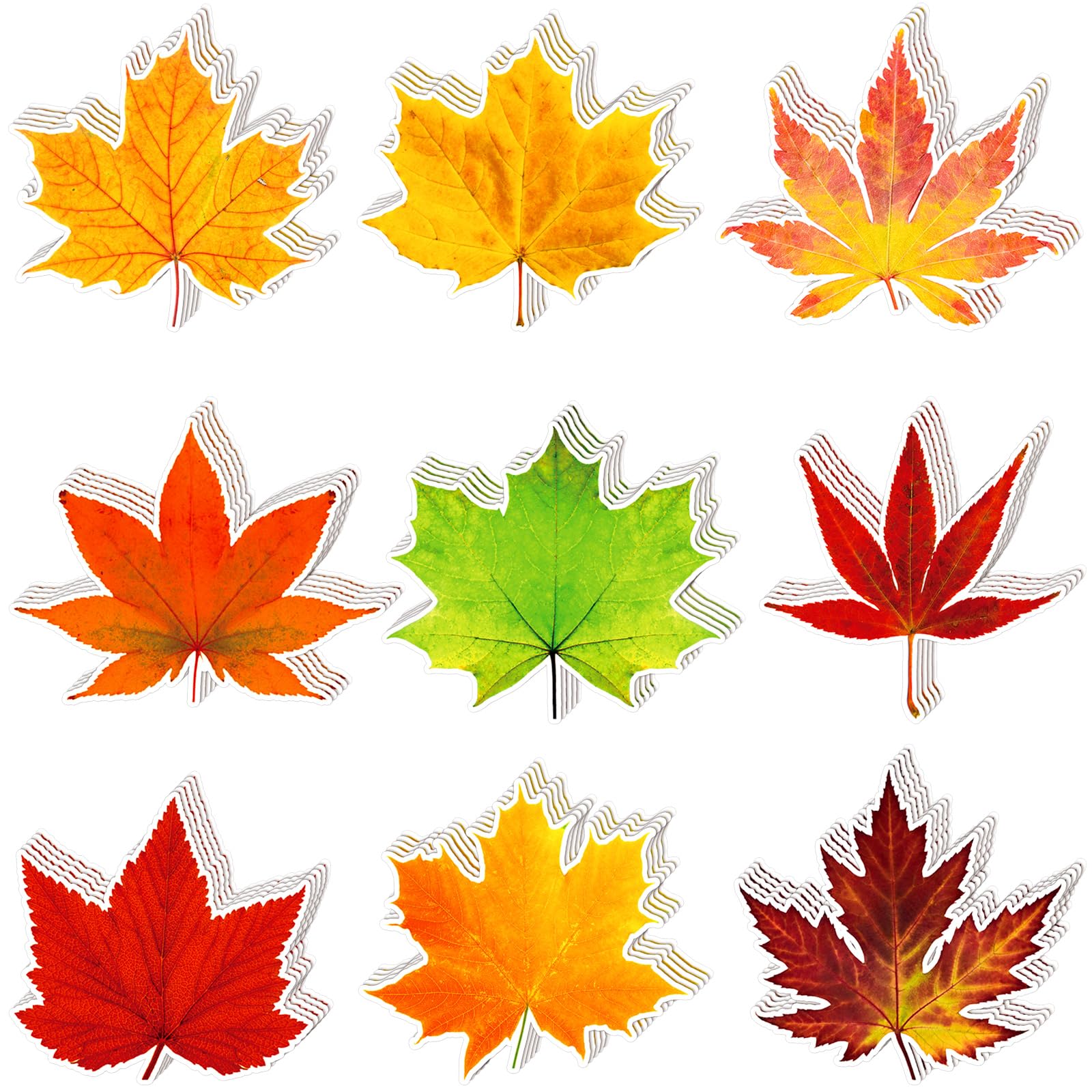 Fall Bulletin Board Decorations Fall Leave Cutout Autumn Thanksgiving Artificial Leaf Cutout Maple Paper Leave with Glue Point Dot for Classroom Bulletin Board Wall Decoration, 3.94 x 3.5 In (198 Pcs)