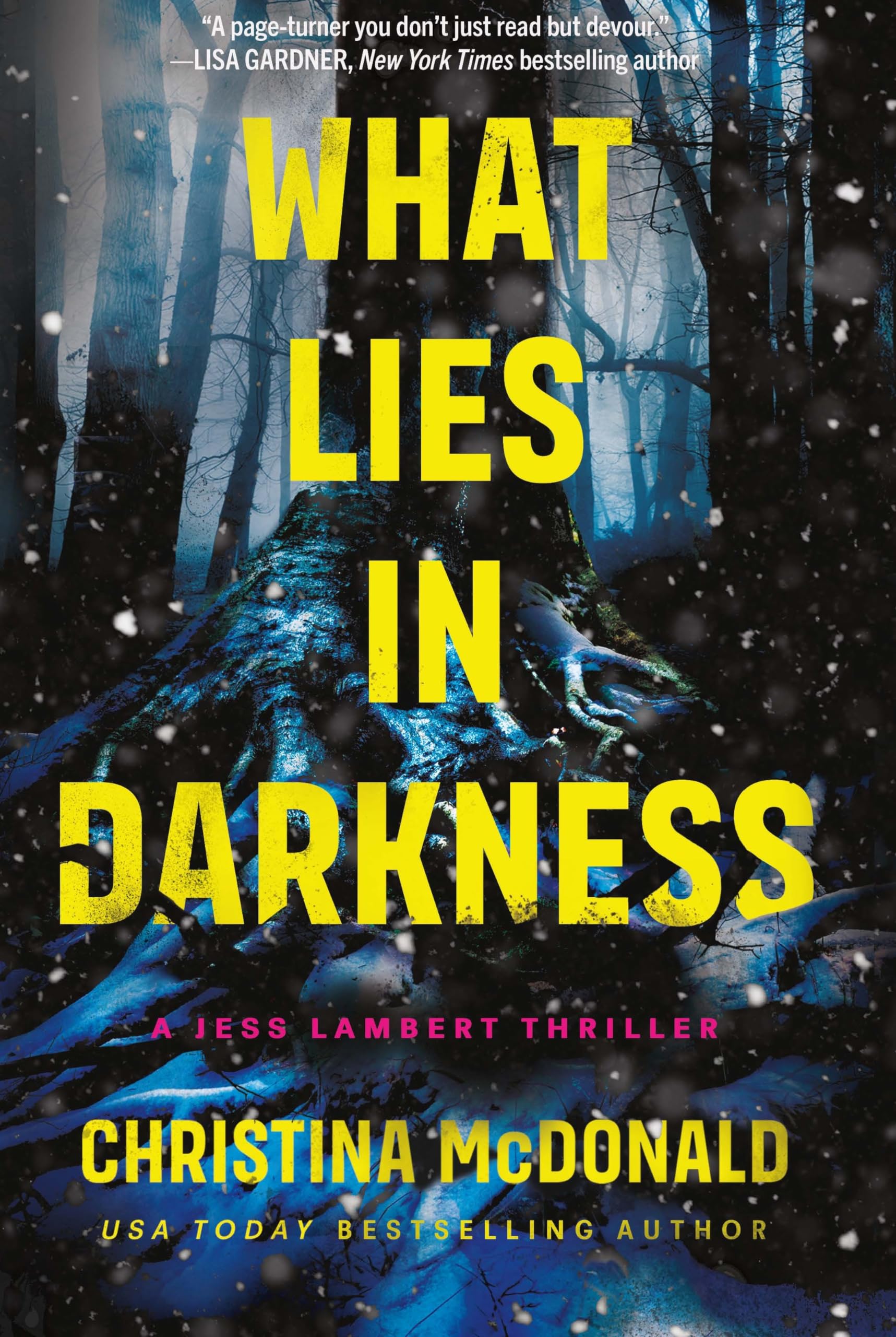 What Lies in Darkness by Christina McDonald - 9781662511646