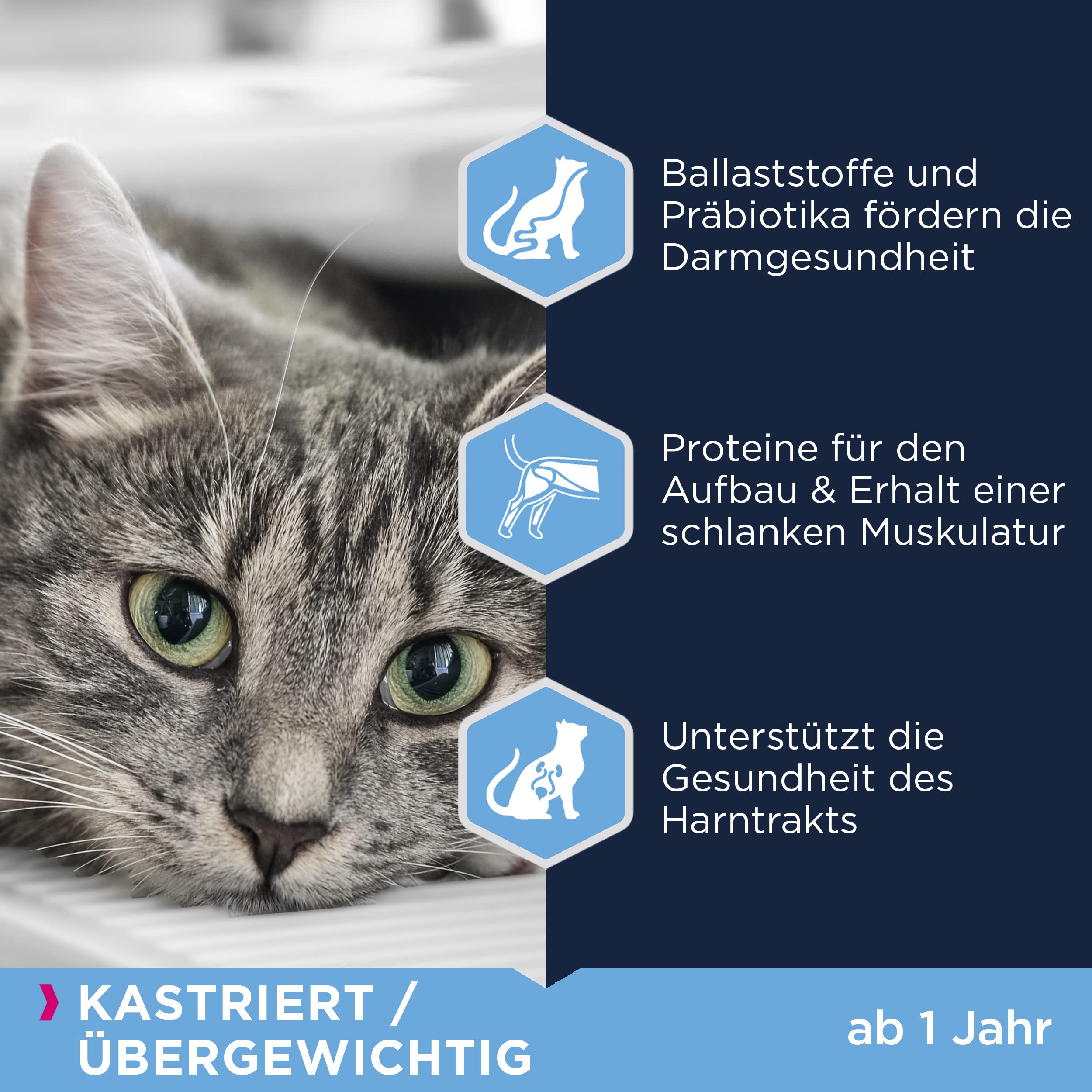 Eukanuba Sterilised Katzenfutter - fettarmes Premium Trockenfutter für den Gewichtserhalt bei sterilisierten / kastrierten Katzen, 10 kg