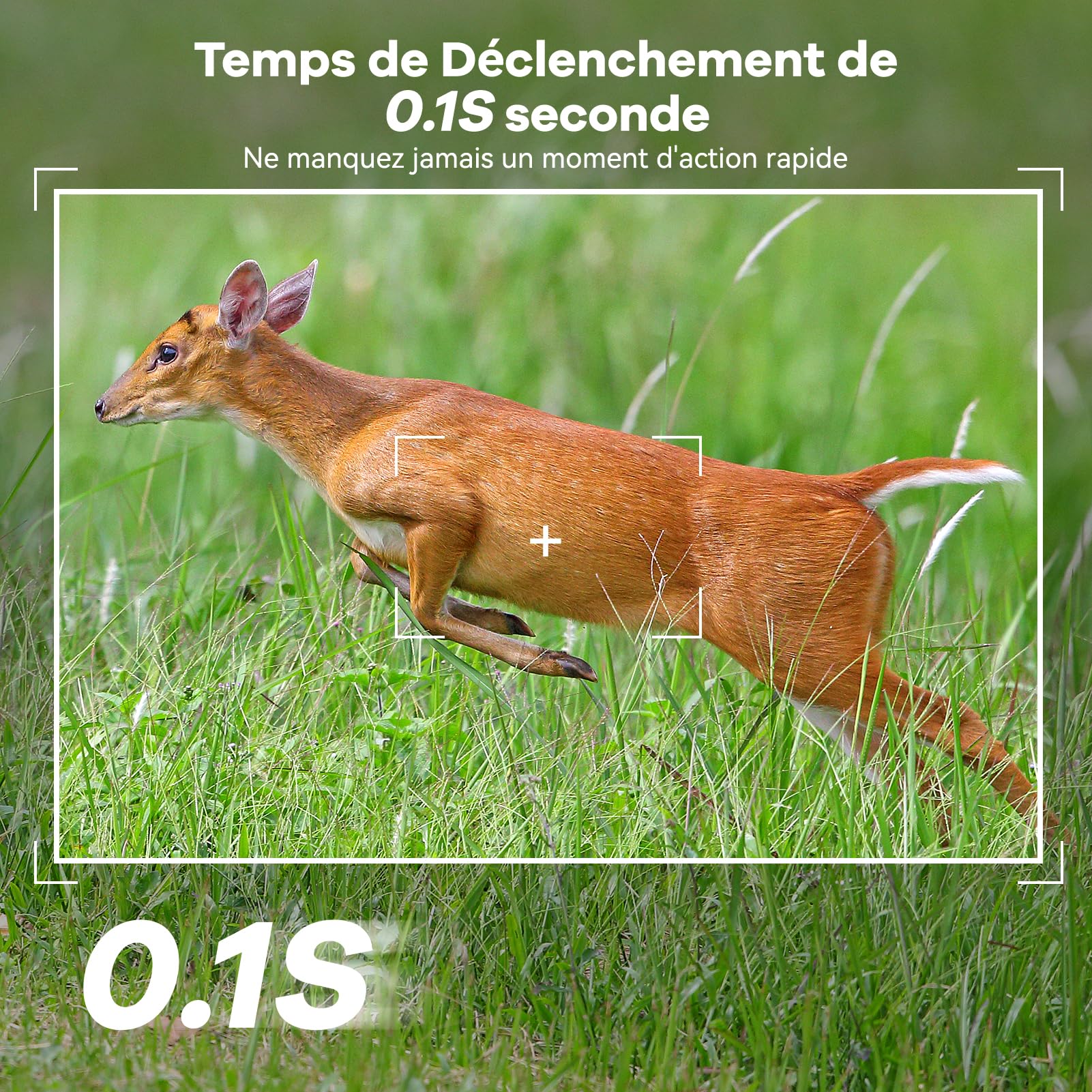 DEATTI 4G LTE Caméra de Chasse Connectée Téléphone, 2.7K HD Caméra Chasse Solaire avec Carte SIM Préinstallée, Vision Nocturne Animaux, Étanche IP66, Batterie 7800mAh (sans Carte SD)