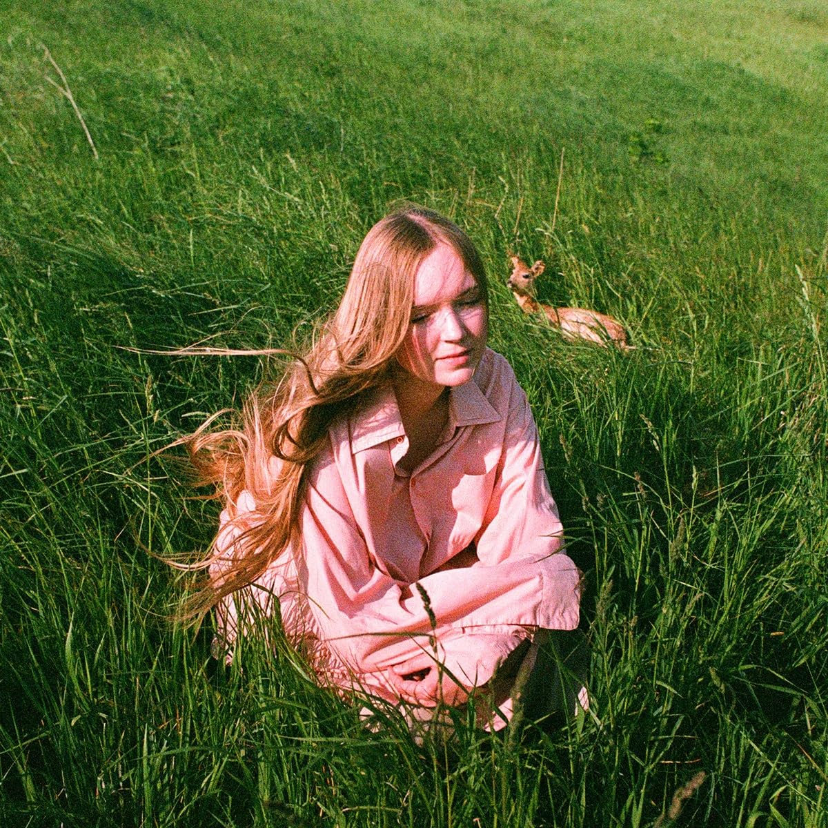 Stay Here Where It's Warm (Orange Vinyl) [VINYL]