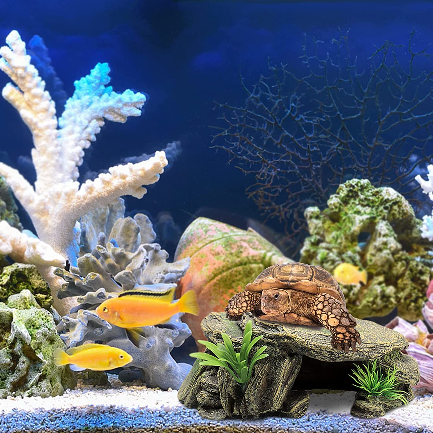 Hars Schuilplaats voor Reptielen, Grot, decor voor habitat voor Gekko, Luipaardgekko, Pad, Schildpad (B-XL Hars Schuilplaats voor Reptielen, Grot, decor voor habitat voor Gekko, Luipaardgekko, Pad, Schildpad (B-XL