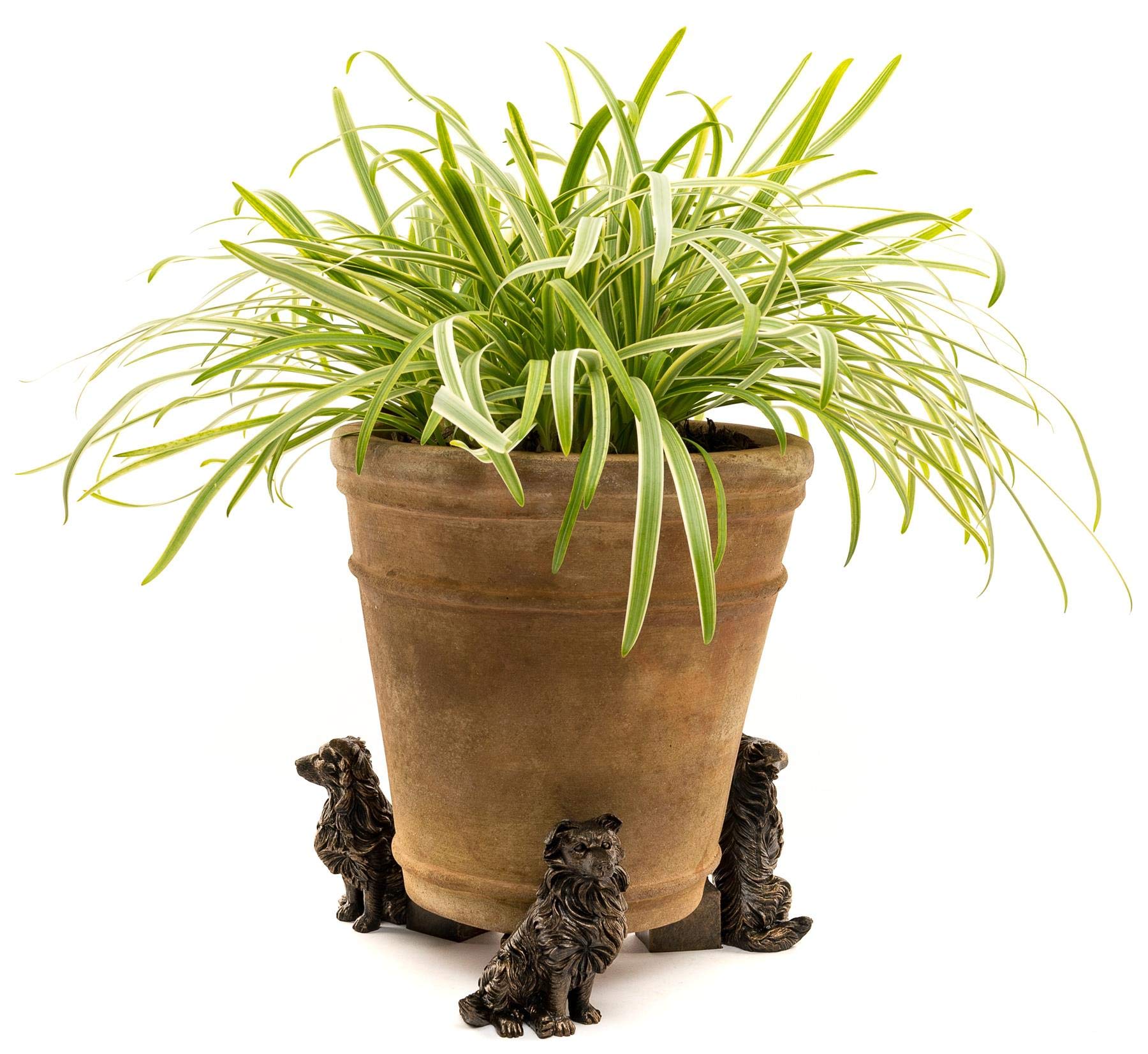 Plant Pot Feet Outdoor Potty Feet Risers Garden Ornament Border Collie Set of 3