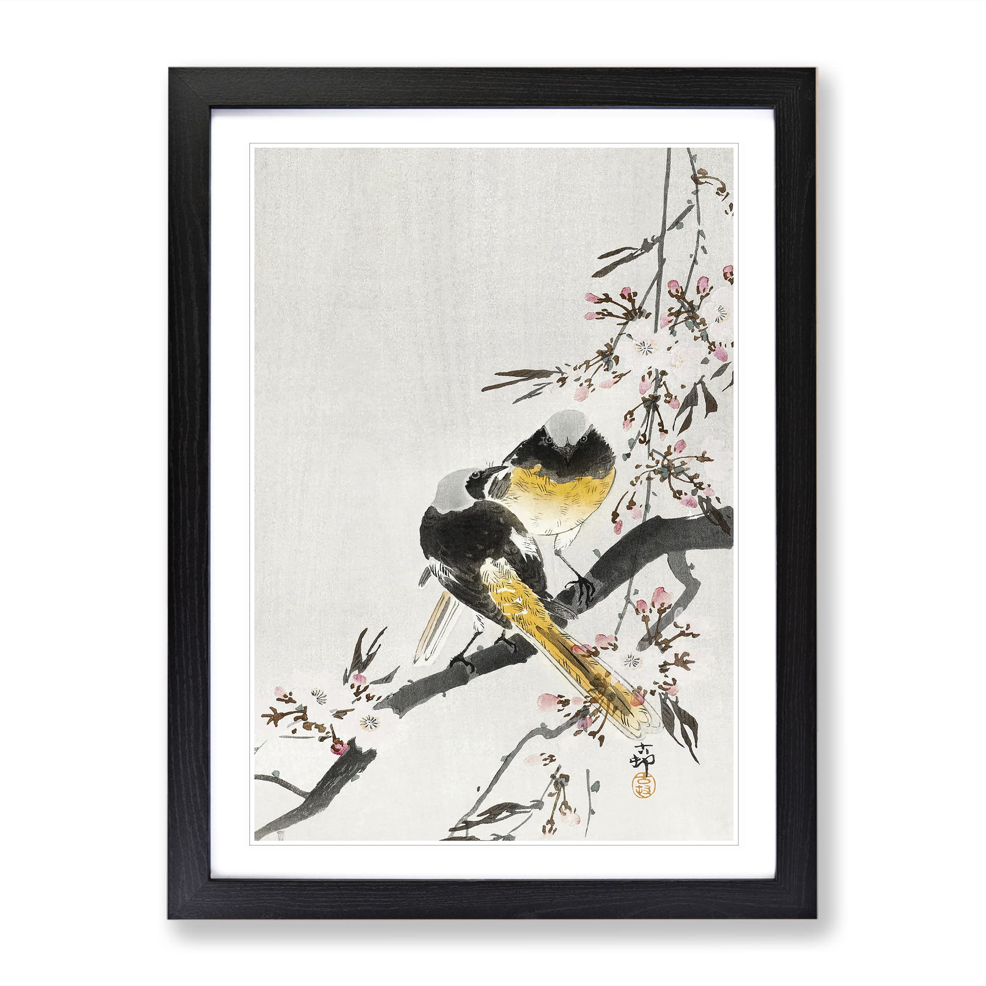 Two Sable Red Tails & Cherry Blossom By Ohara Koson Asian Japanese Framed Wall Art Print