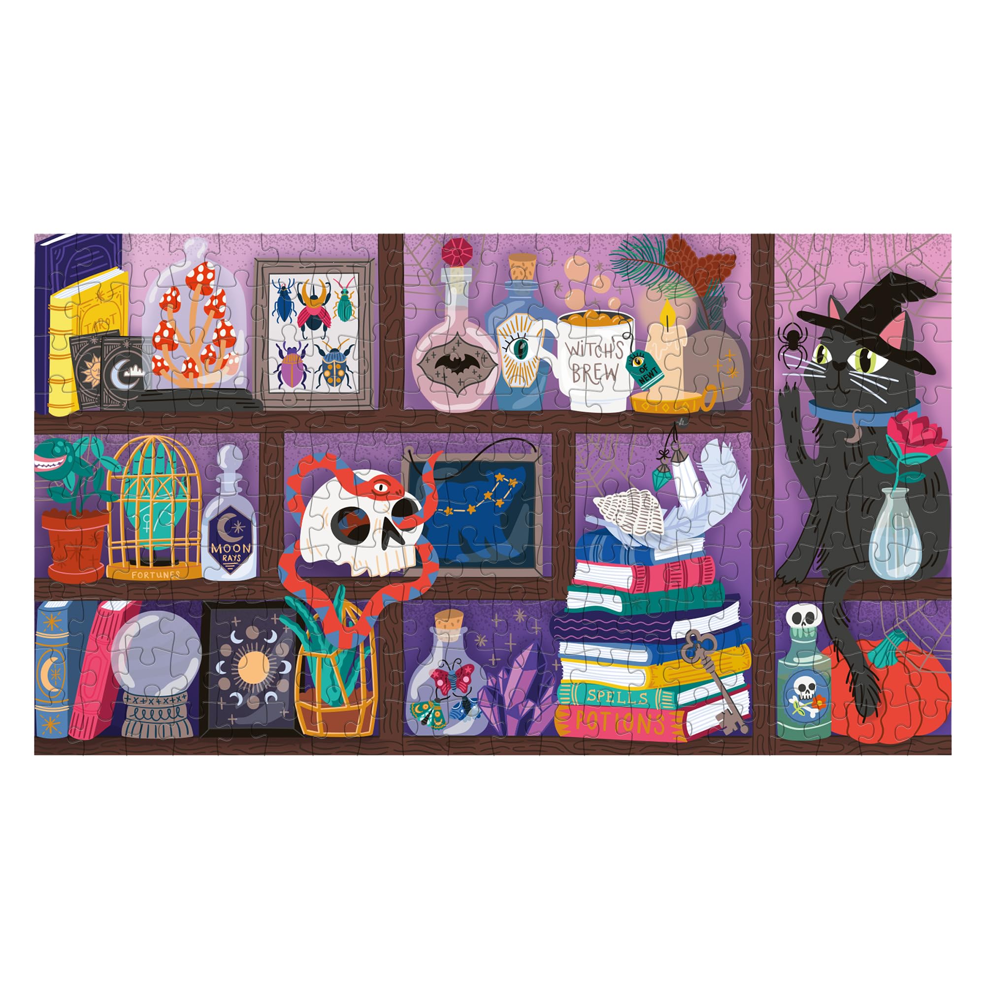 Spooky Curiosities 200Piece Jigsaw Puzzle by Ridley'S Games 9781797231907