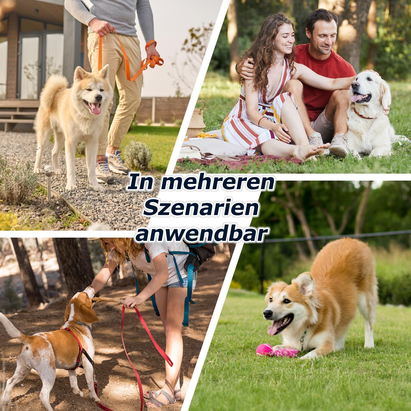 Bottiglia per Cani Isolata, Dispensatore 3in1 in Acciaio Inossidabile – Cierre Anti-Fuoriuscita, 2 Bevederi, Ideale per Viaggi (Nero,1000ml)