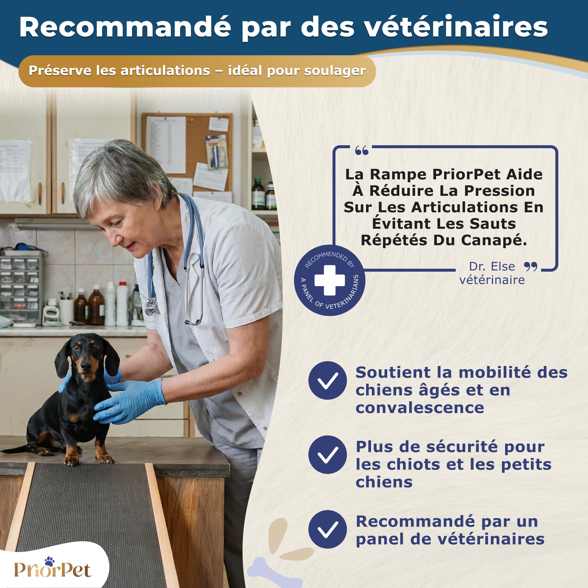 Rampe pour Chien de Petite ou Grande Taille - Surface antidérapante - Rampe Pliable et Réglable de 18 à 53 cm - pour lit et Canapé - La Plateforme se connecte Parfaitement - Bois de Bouleau - Naturel