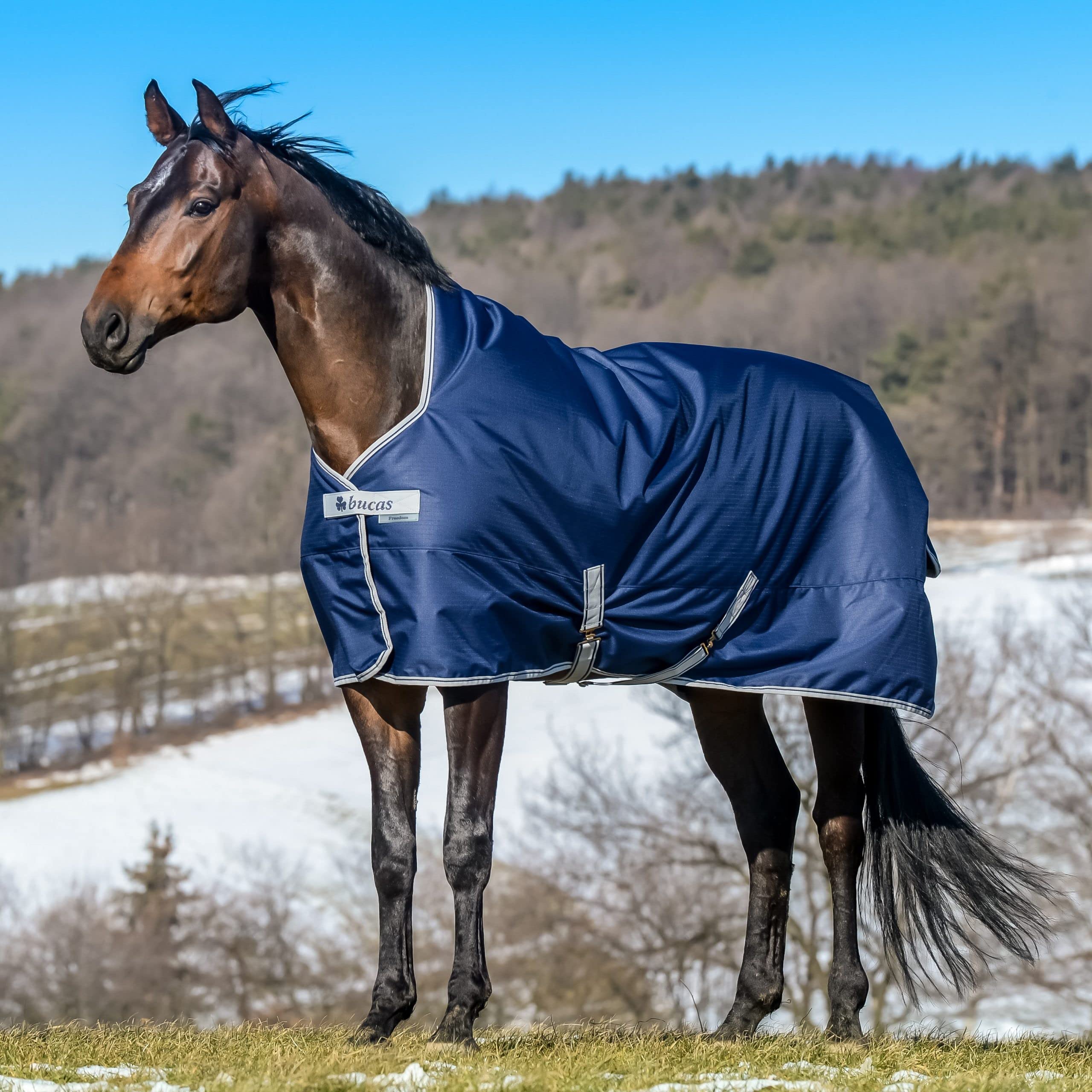 Bucas Freedom Turnout 140 - Manta para Caballo (300 g), Color Azul Marino y Plateado