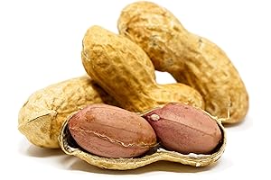 Squirrel Nuts: Sky Supreme Unsalted Peanut Treat for Your Furry Friends