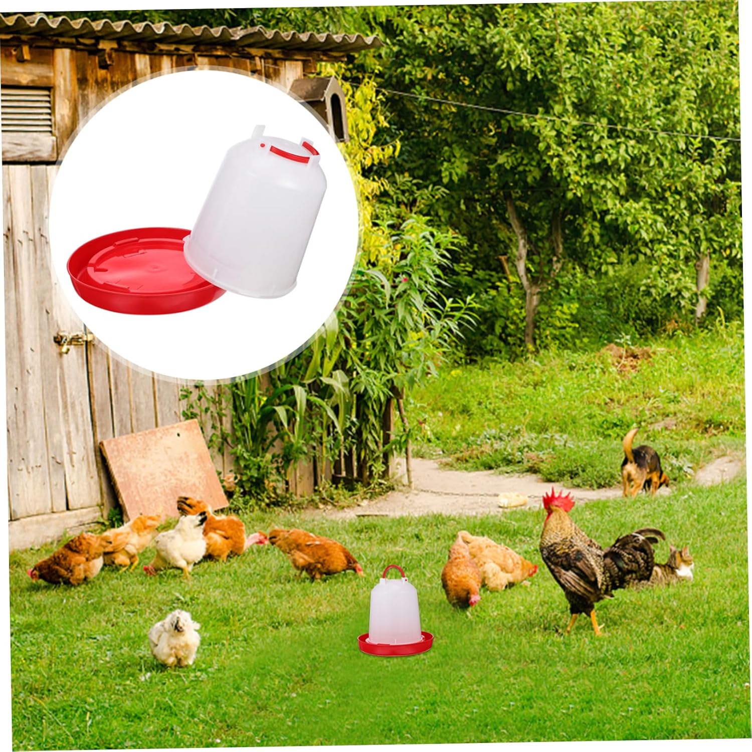 Automatic Chicken Waterer Bucket Durable Poultry Drinker for Chickens Ducks and More Convenient Easy to Clean and Weather Resistant Design