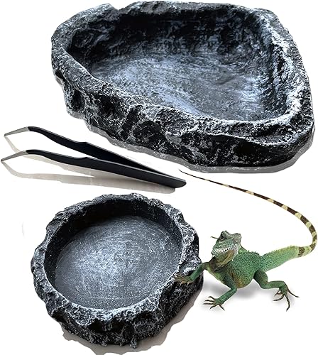 Plato de alimentación de reptiles para agua, paquete de 2 platos de comida, plato de agua, plato para reptiles con gusanos de pan para alimentación