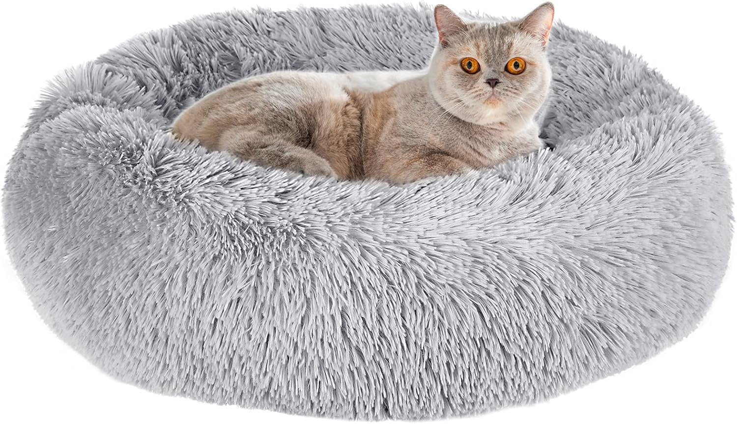 cat anxiety bed