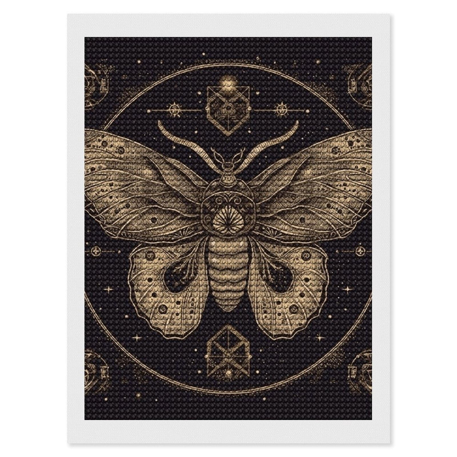 DWVTSLH Moth Diamond Painting Kits for Adults, Personalized Diamond Photo Art Full Drill, DIY 5D Diamond Art Painting Kits for Beginners, Home Wall Decor 12"x16"