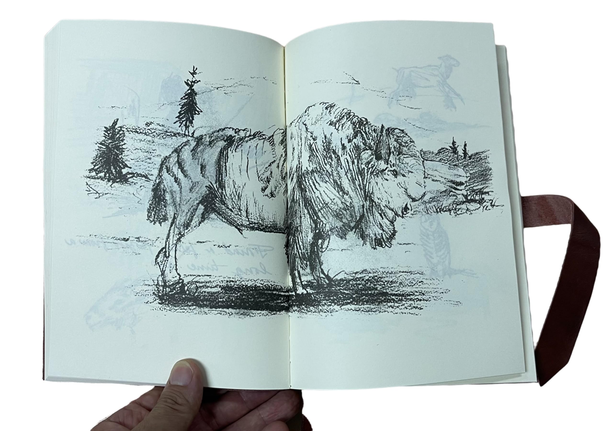 Amazon.co.jp: RDR2 アーサー・モーガン ジャーナル レッド・デッド