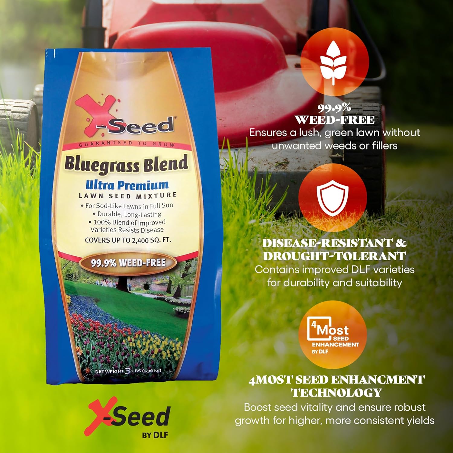 X-Seed Bluegrass Lawn Seed Blend with 4Most Seed Enhancement by DLF - Fast-Growing, Drought-Tolerant, Cool-Season Grass Seed for Thick, Green Lawns, 3 lbs. Covers up to 4,900 sq. feet, 99.9% Weed Free