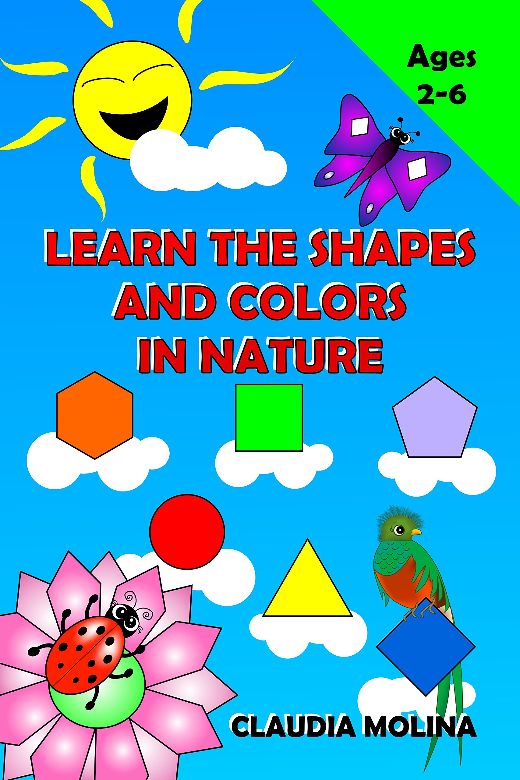 Buy LEARN THE SHAPES AND COLORS IN NATURE Teaching Your Children About