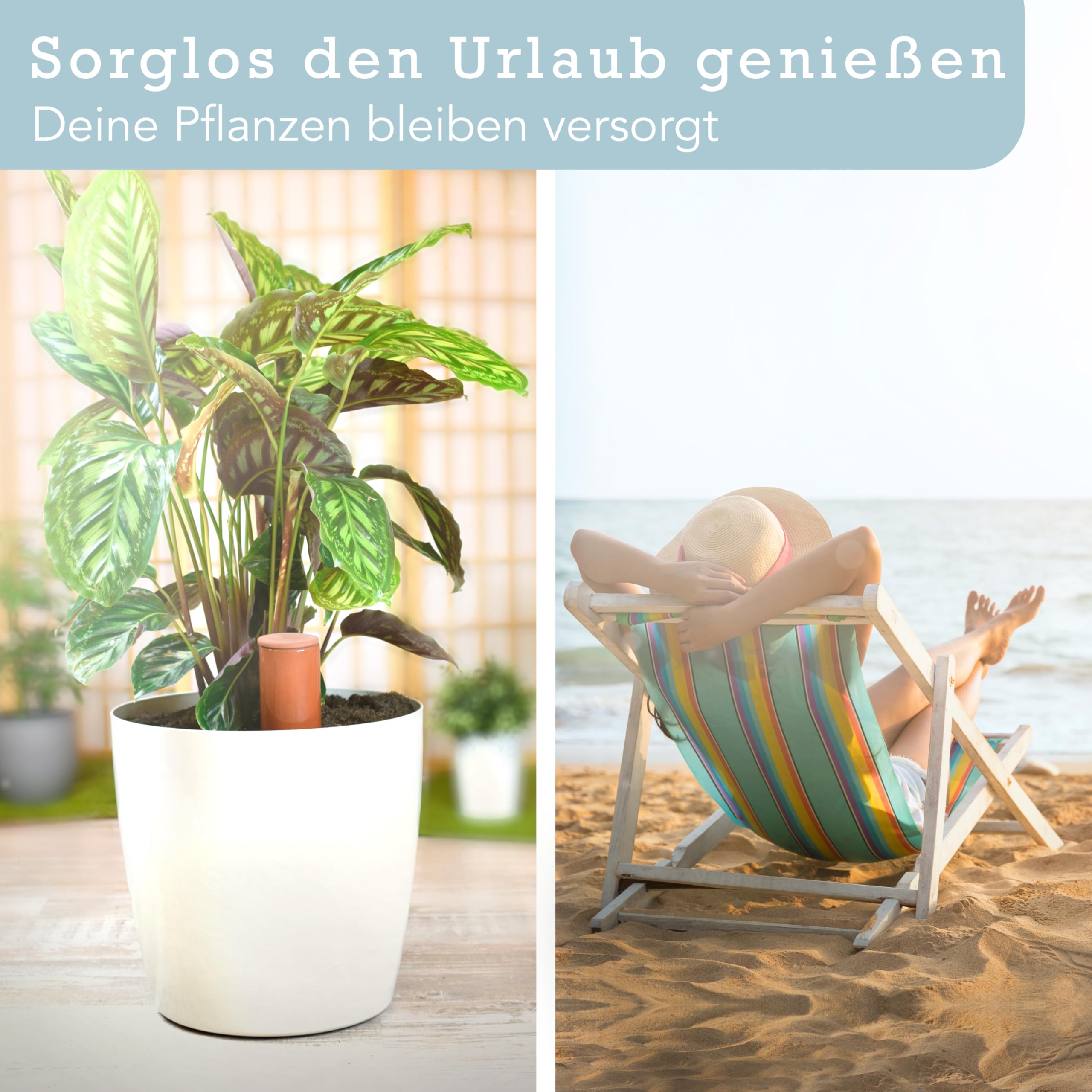 Terracotta Gießhilfe (3X 330 ml) handgefertigt für Bewässerung Zimmerpflanzen | Wasserstandsanzeiger Pflanzen | Watering can | Gießkanne Zimmerpflanzen