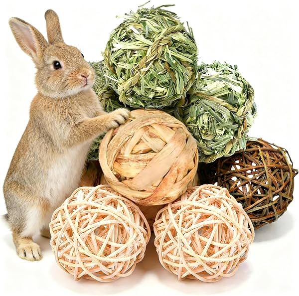 8 Bolas de Heno Natural para Masticar – Hechas a Mano para Conejillos de Indias, Conejos y Chinchillas - 1