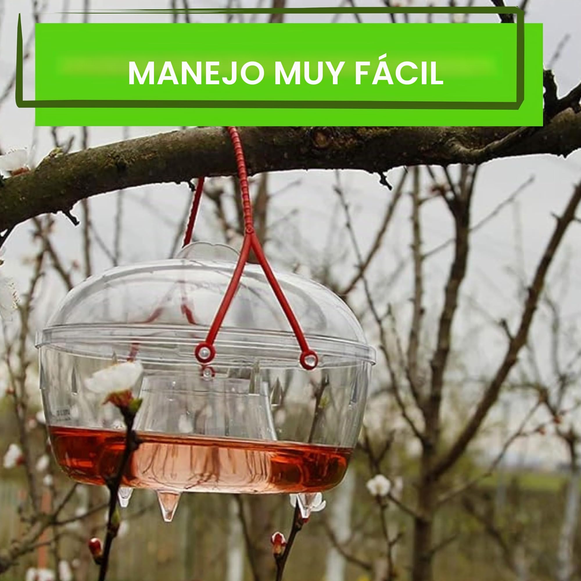 Aroba Juego de 2 trampas para avispas, moscas, mosquitos, 18 cm, respetuosas con el medio ambiente, sin veneno, muy eficaz