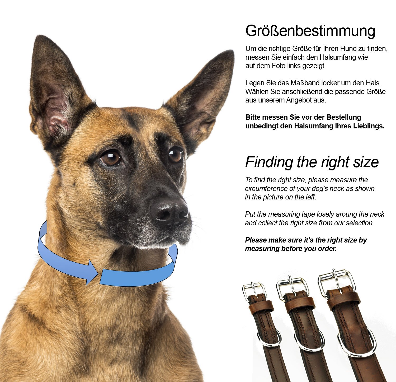 Lisa Halsband für Hunde aus Leder mit Applikation, Hundehalsband für den großen und mittleren Hund (L - 36-45cm, Braun)