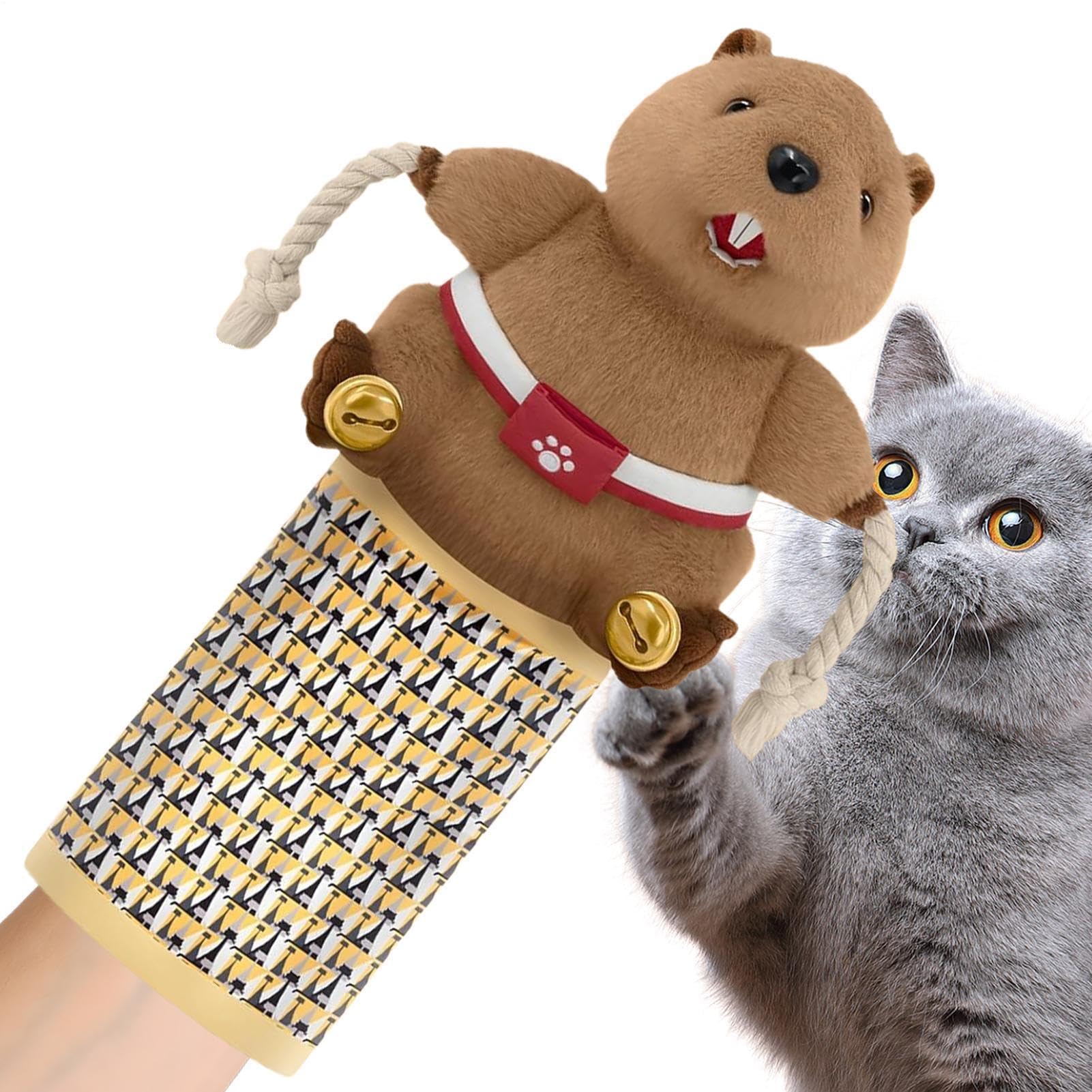 Jouet de lutte pour chat pour des moments de joie dans la maison