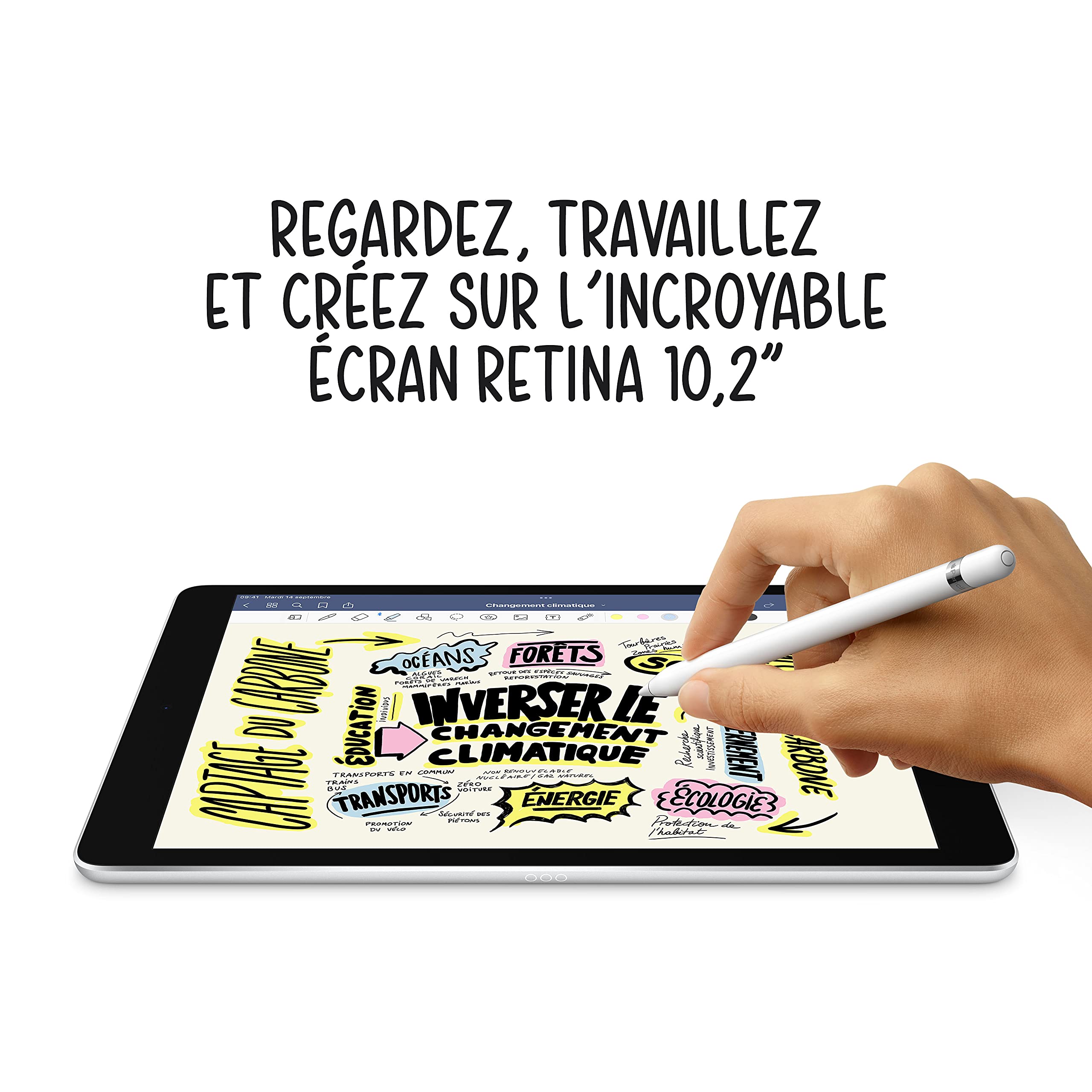 Apple iPad 10.2 cal Wi-Fi 256 Go Gris Sidéral Reconditionné