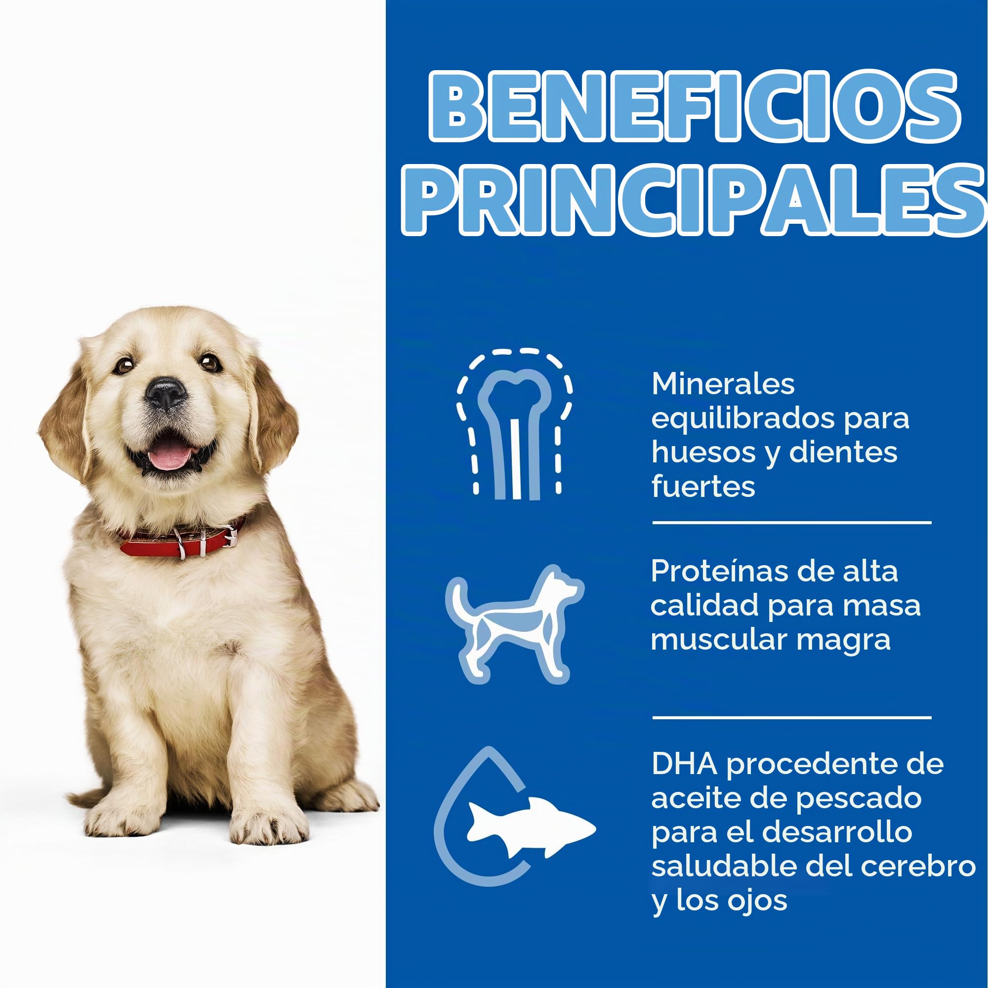 HILLS SCIE HSP Canine Puppy Large 14,5KG