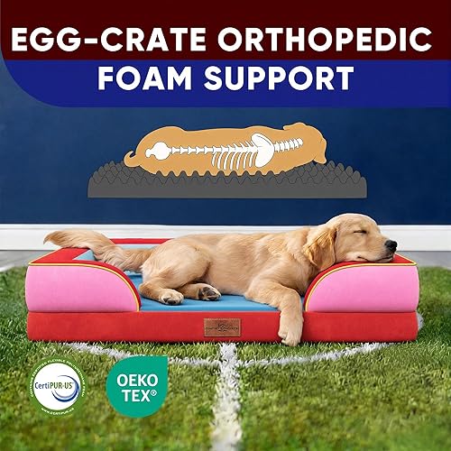 Miniatura 315 de Comfort Expression - Cama ortopédica para perros extragrandes, 53 x 42 pulgadas, cama impermeable y de apoyo de espuma con cojines removibles, con