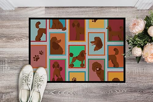 Vista 526 de Caroline's Treasures MLM1087MAT - Felpudo de perro de montaña bernés de 18 x 27 pulgadas, para interiores y exteriores, para entrada, Bernese