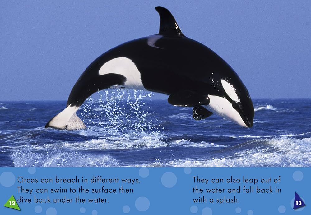 新品、未開封！ORCA Minute Stream2000 新品、未開封！ORCA Minute Stream2000