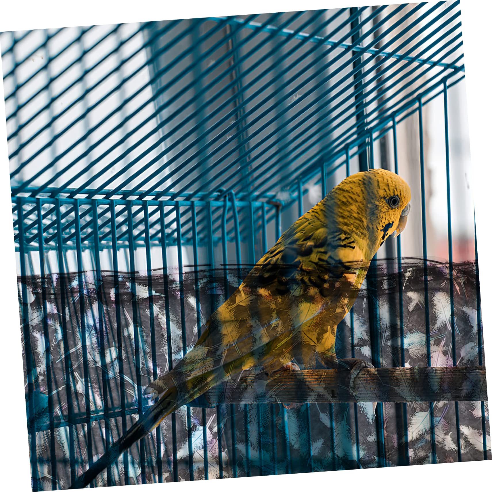 VANZACK 5piezas Cubierta De Jaula De Pájaros De Malla Elástica para Protección Diseño Multipropósito Evita El Polvo y Reduce Distracciones Alta Resistencia De Circunferencia