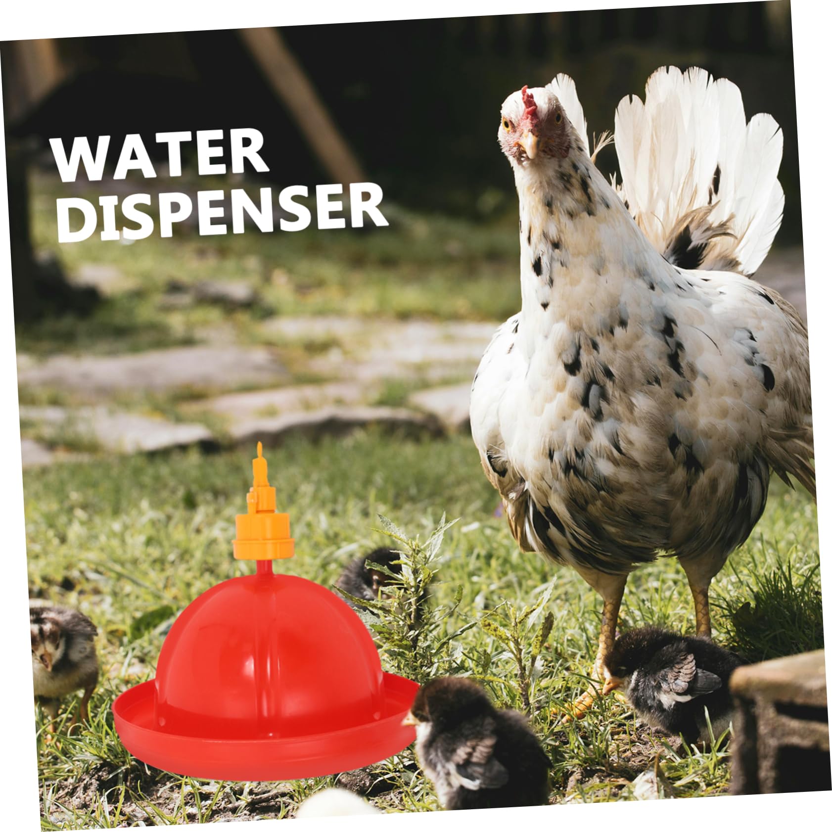 YARNOW Tazón De Agua para Pollos Comedero para Pájaros Sistema De Riego para Aves