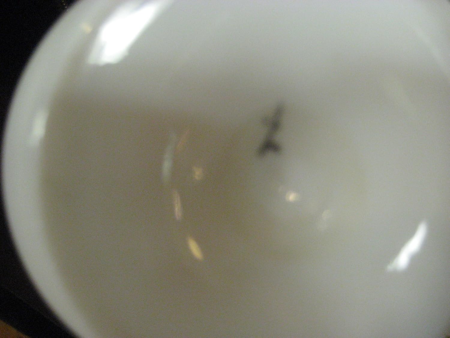 Pair of English Opaline vases