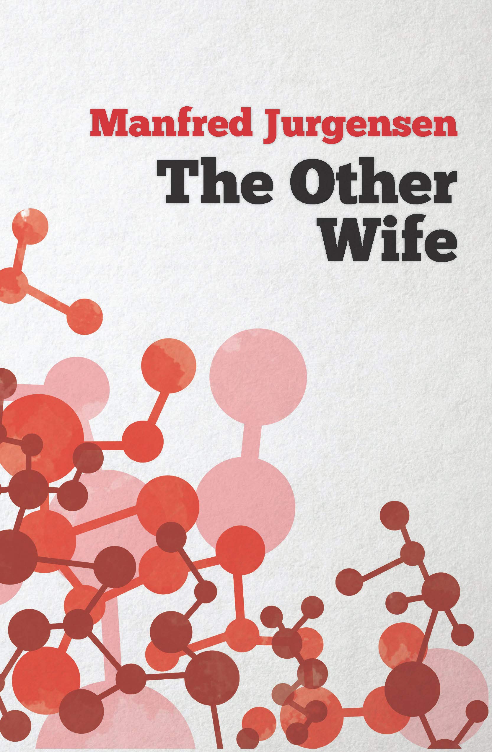 Buy The Other Wife — BookShops.in
