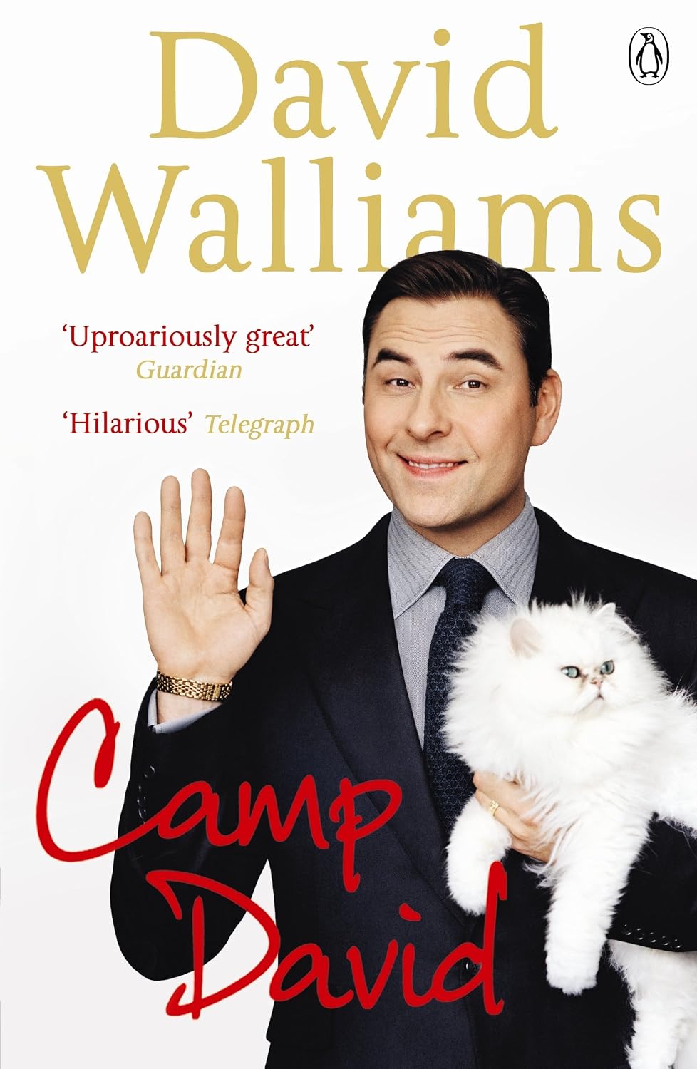 Camp David : Walliams, David: Amazon.com.mx: Libros