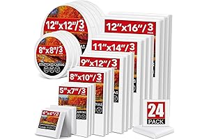 24 Pack Canvases for Painting with Acrylics