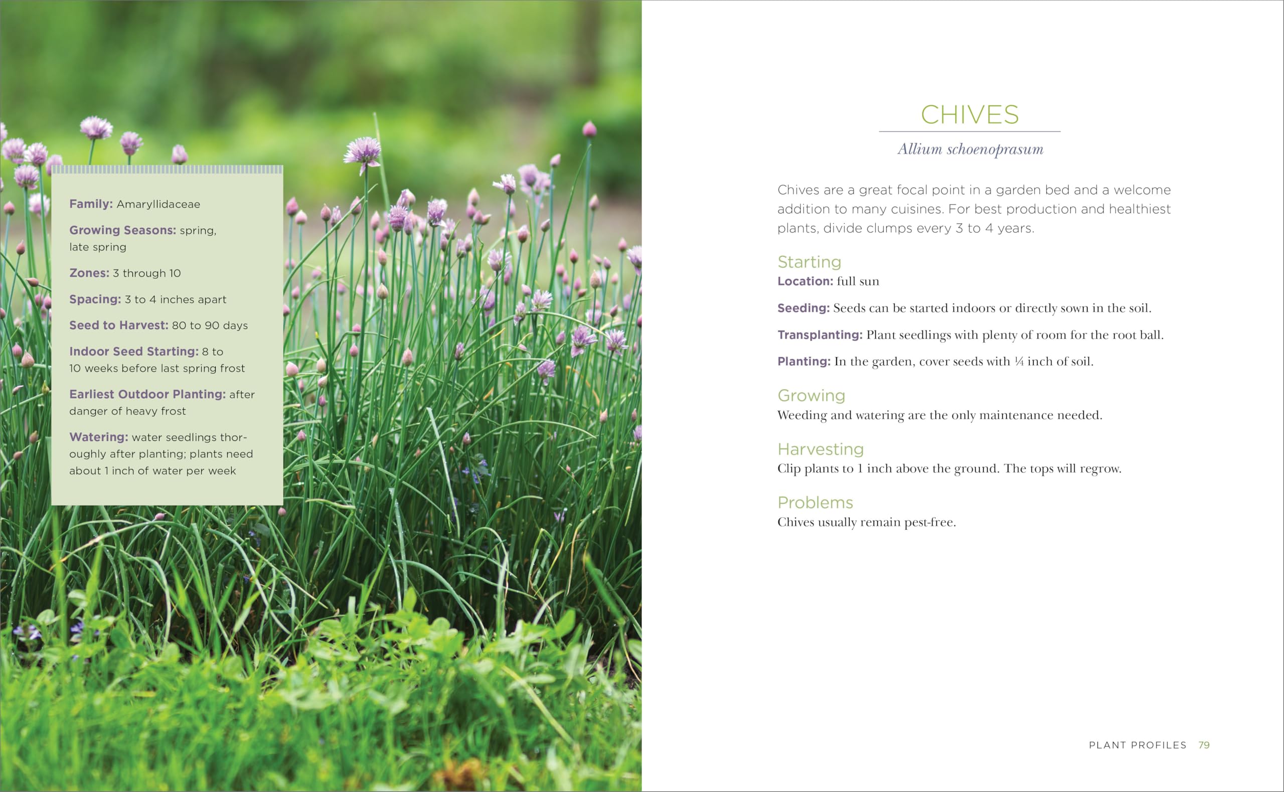 Raised-Bed Gardening for Beginners: Your Guide to Growing Sustainability and Self-Sufficiency — Amazon image 5