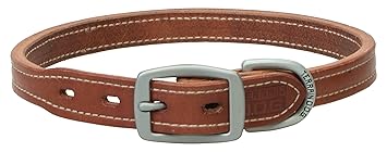 Terrain D.O.G. Buttered Harness Leather Hybrid Dog Collar