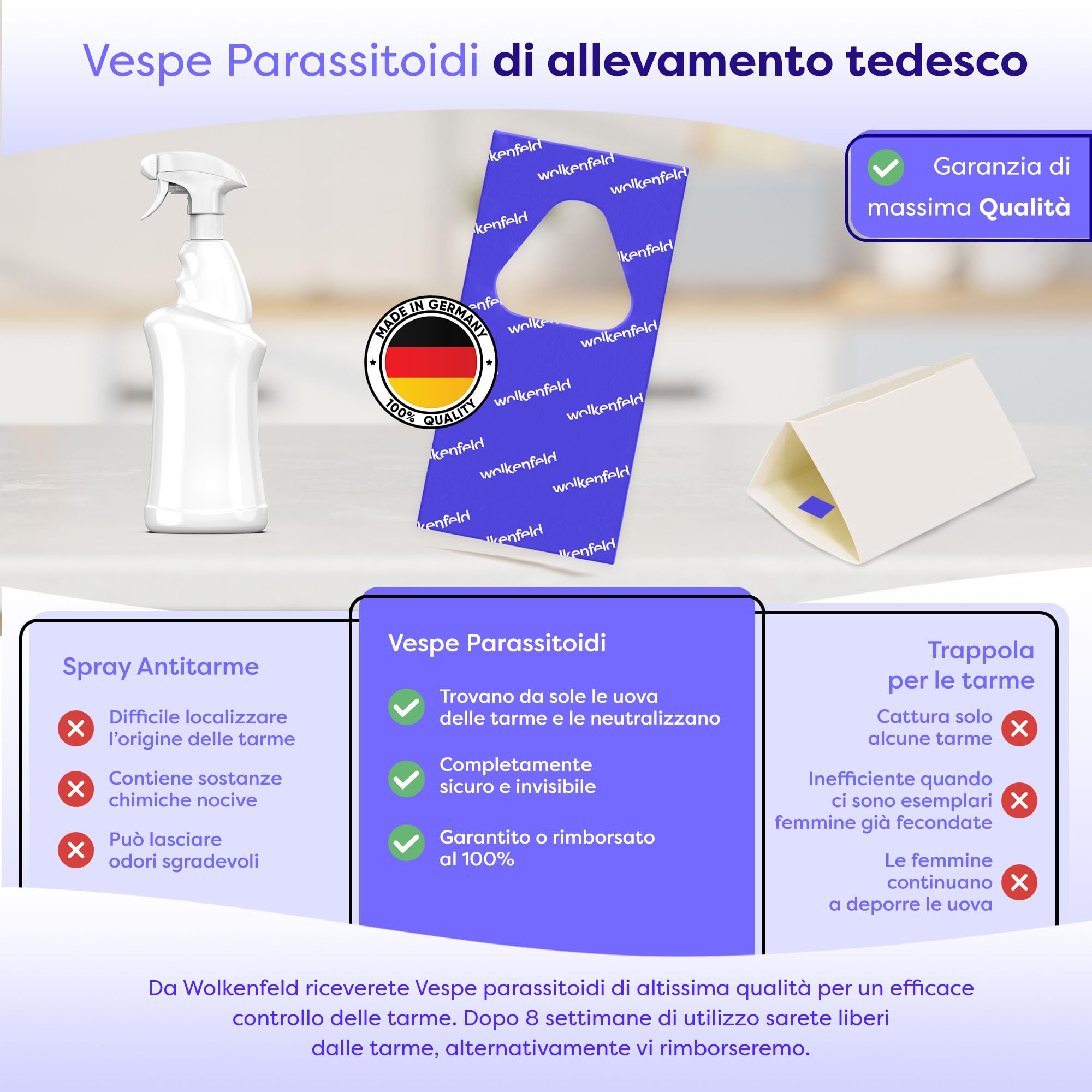 Wolkenfeld Vespe parassitoidi Contro Le tarme Alimentari – 10 Carte – Lotta Efficace e priva di Sostanze chimiche Contro Le tarme – Alternativa Naturale a trappole per tarme
